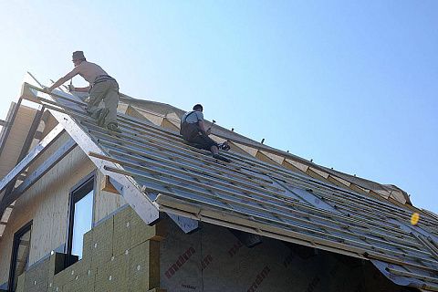 картинка Z79 