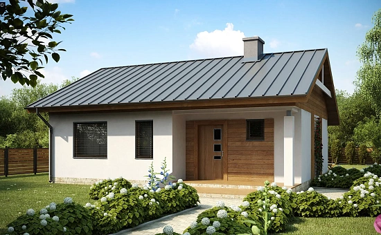 Аккуратный небольшой одноэтажный дом простой конструкции с кухней со стороны сада.