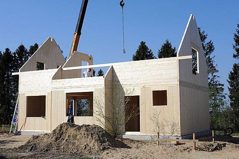 картинка Z79 