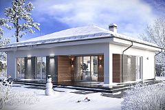 Одноэтажный дом с мастер-спальней.