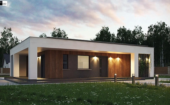 Компактный коттедж современного дизайна с плоской кровлей