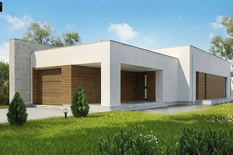 картинка Zx129 