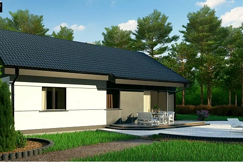 картинка Z454 