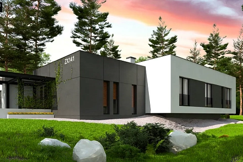 картинка Zx141 v1 