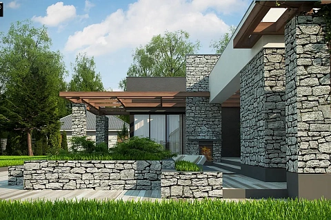 картинка Zx137 