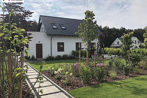 картинка Z216 GL 