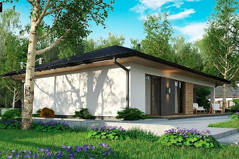 картинка Z368 D S 