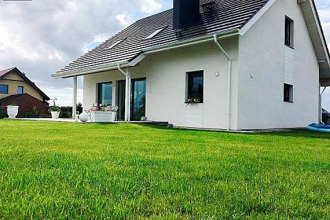 картинка Z119 