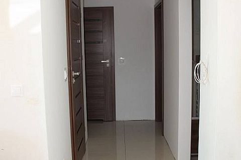 картинка Z273 