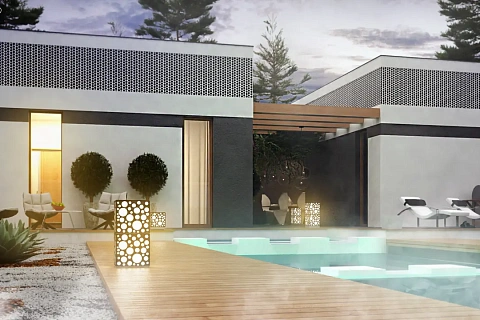 картинка Zx119 