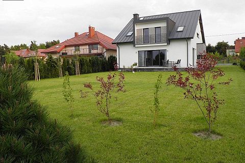 картинка Z116 