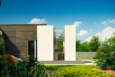 картинка Zx69 v1 