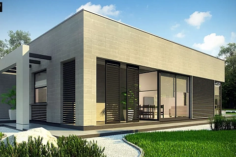 картинка Zx79 