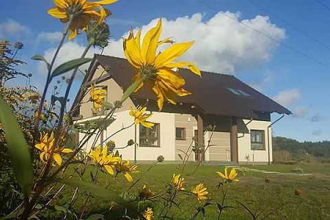 картинка Z7 P 35 