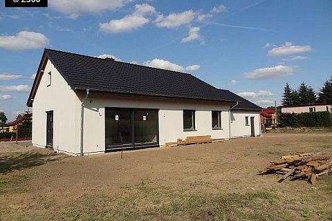 картинка Z91 