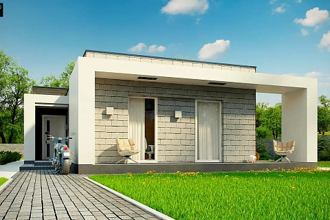 картинка Zx69 v1 