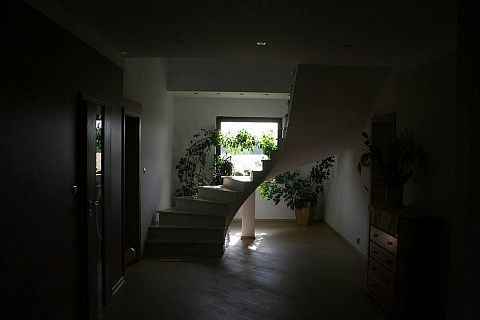 картинка Z21 