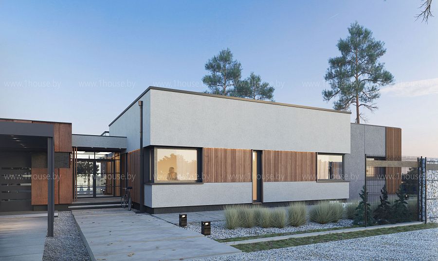 Одноэтажный дом в современном стиле, д. Чуденичи