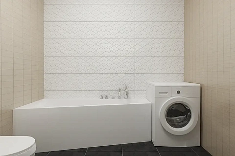 картинка Z301 