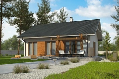 Компактный одноэтажный дом в традиционном стиле.