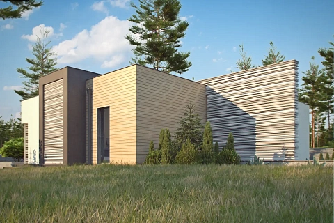 картинка Zx65 