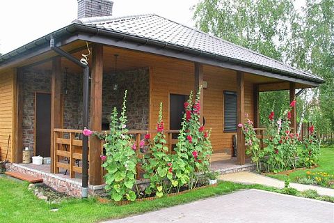 картинка Z16 