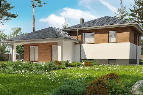 картинка Z335 