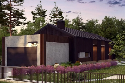 картинка Z395 