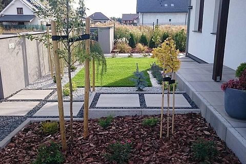 картинка Z216 GL 