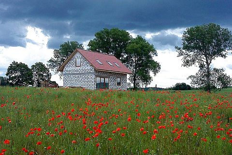 картинка Z34 