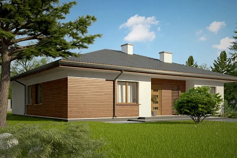 картинка Z321 v1 