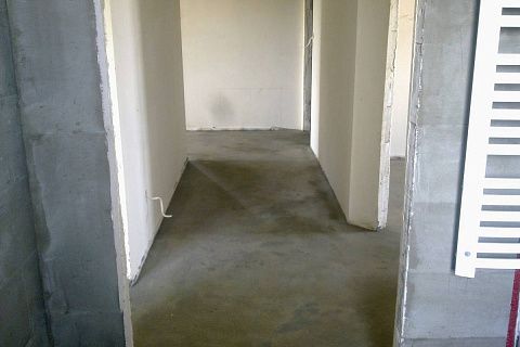 картинка Z19 