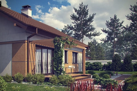 картинка Z253 