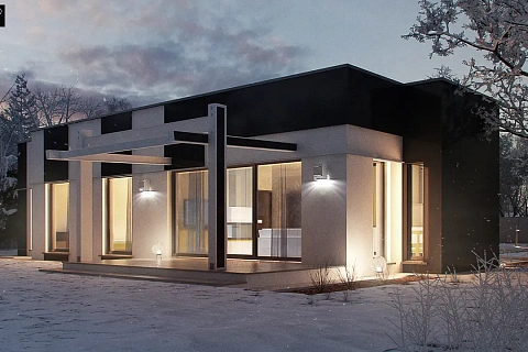 картинка Zx116 