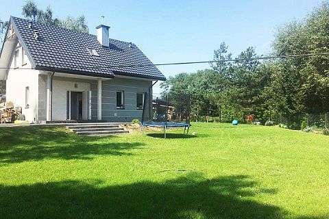 картинка Z216 