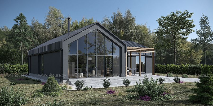 Дом в стиле барнхаус, СТ Водолей 2010