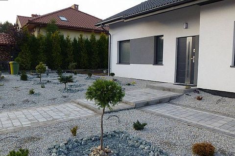 картинка Z262 