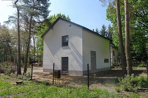 картинка Z115 