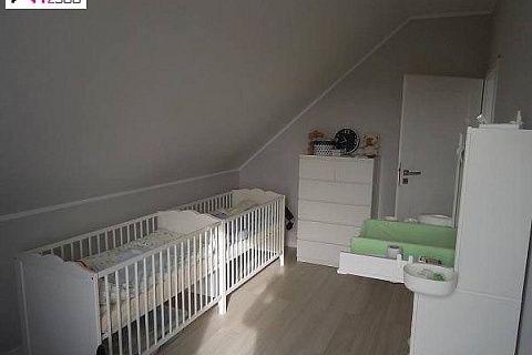 картинка Z216 