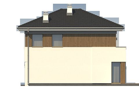 картинка Z295 