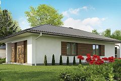 Одноэтажный функциональный дом для небольшой семьи