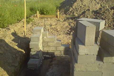 картинка Z19 