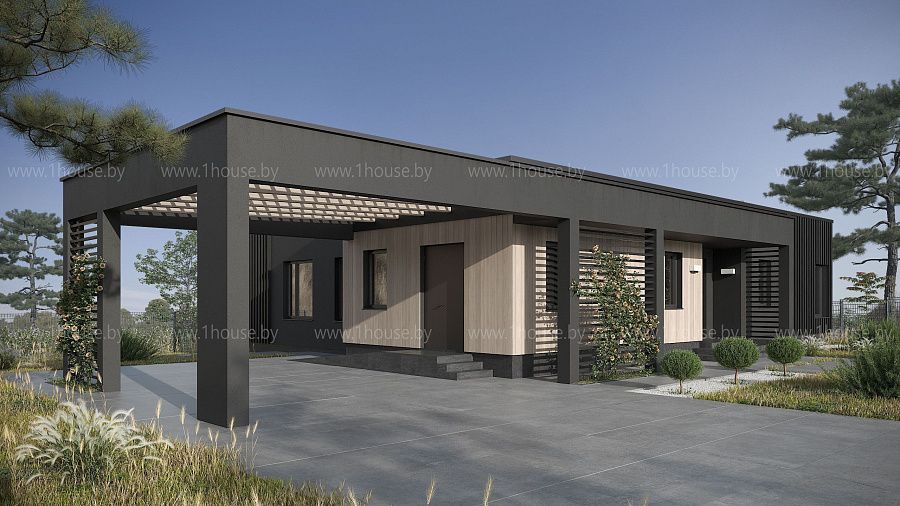 Современный одноэтажный дом в стиле минимализм, СТ "Крылово-2012"