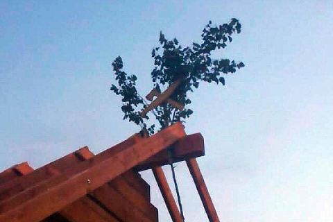 картинка Z95 