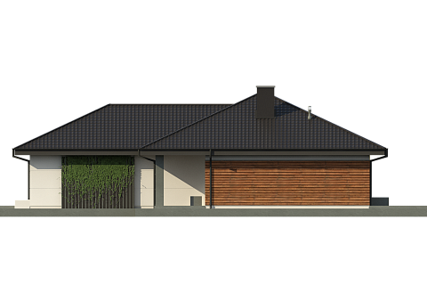 картинка Z317 