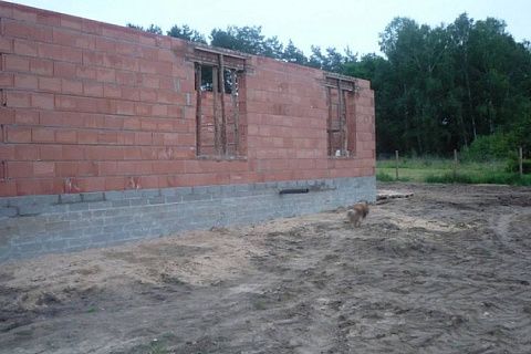 картинка Z209 