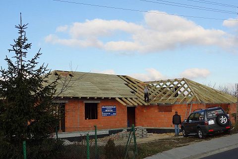 картинка Z81 