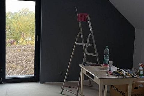 картинка Z113 