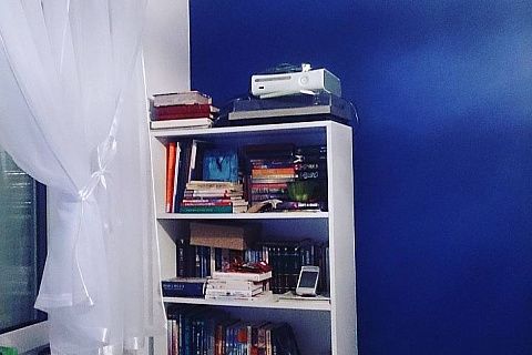 картинка Z91 GP 