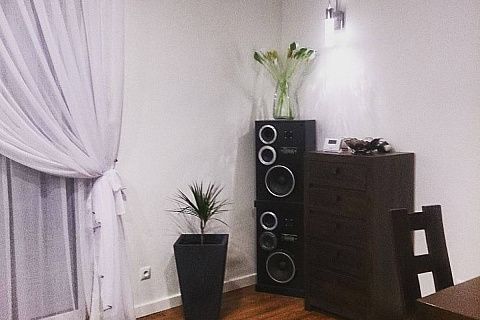 картинка Z91 GP 